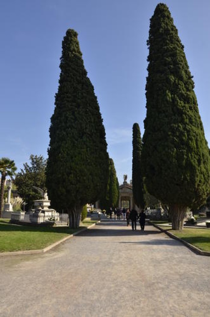 Imatge de la notícia