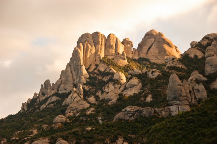 Imatge de la notícia