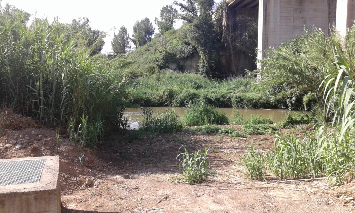 Imatge de la notícia